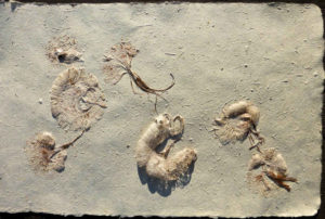 Sample of Marilyn Horner handmade paper with inclusions
